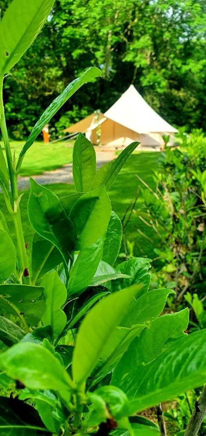 Bell Tent Village Ноттингем Экстерьер фото